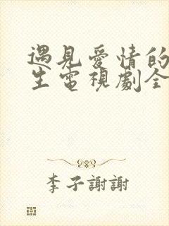 遇见爱情的利先生电视剧全集