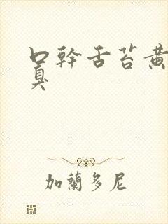 口干舌苔黄厚口臭