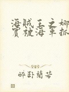 海贼王之娜美罗宾被海军抓住是第几