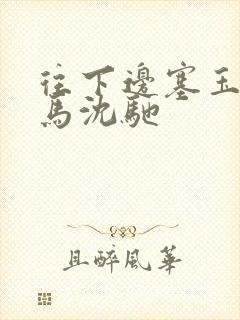 往下边塞玉器骑马沈驰