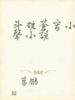 斗破苍穹小说有声小说