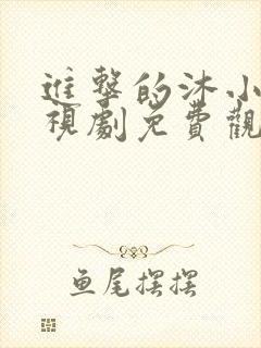 进击的沐小姐电视剧免费观看全集封面