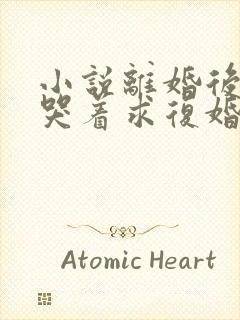 小说离婚后前夫哭着求复婚阅读