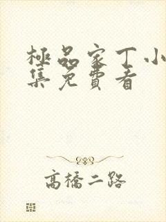 极品家丁小说全集免费看