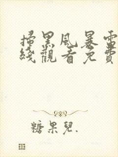 扫黑风暴电影在线观看免费完整版