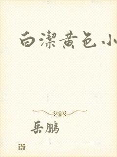 白洁黄色小说封面