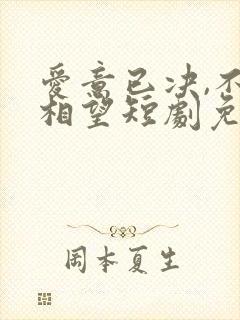 爱意已决,不再相望短剧免费观看封面