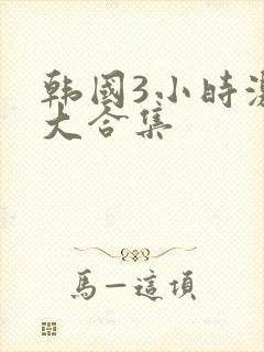 韩国3小时激情大合集