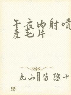 午夜内射喷水国产毛片