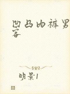 凹凸内裤男模插客