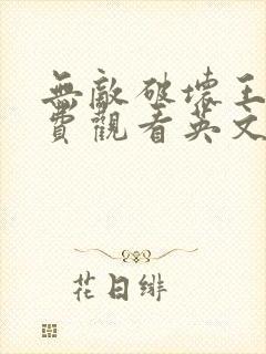 无敌破坏王2免费观看英文版