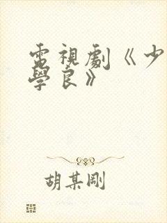 电视剧《少帅张学良》封面