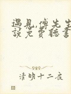 遇见,傅先生小说免费听书