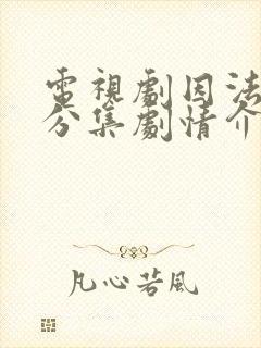 电视剧因法之名分集剧情介绍