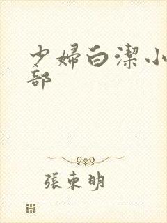 少妇白洁小说全部