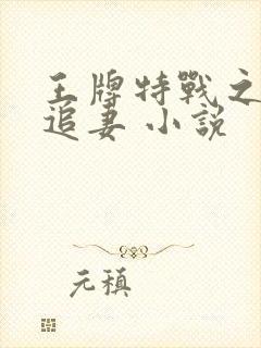 王牌特战之权少追妻 小说