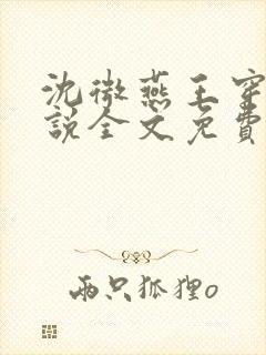 沈微燕王穿越小说全文免费阅读