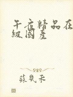 午夜精品在线一级国产封面