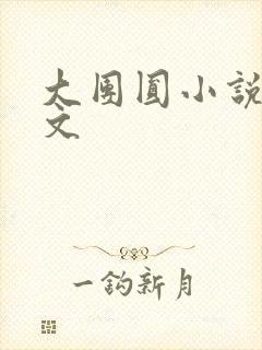 大团圆小说集全文封面