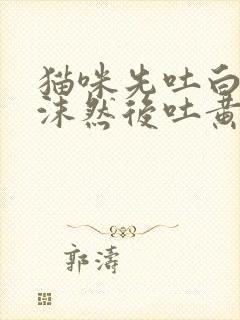 猫咪先吐白色泡沫然后吐黄水