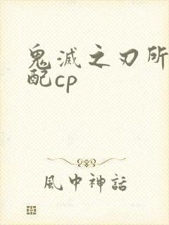 鬼灭之刃所有官配cp