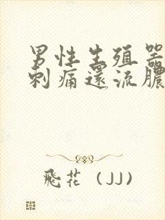 男性生殖器小便刺痛还流脓