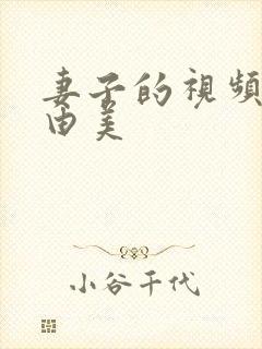 妻子的视频风间由美