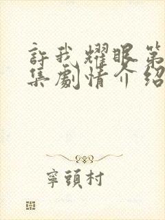 许我耀眼第40集剧情介绍