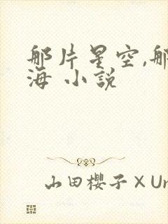 那片星空,那片海 小说