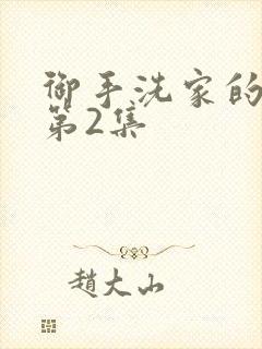 御手洗家的破洞第2集