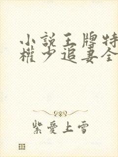 小说王牌特战之权少追妻全文阅读