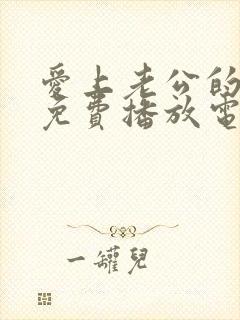 爱上老公的爸爸免费播放电视剧