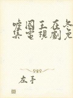 嘘国王在冬眠全集电视剧免费封面