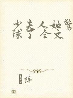 少夫人她惊艳全球了 全文