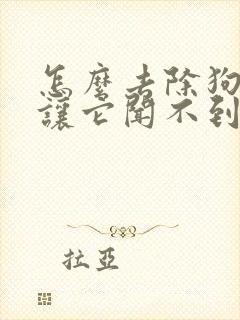 怎么去除狗尿味让它闻不到