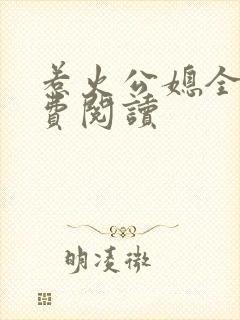 惹火公媳全文免费阅读