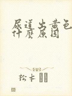 尿道出黄色液体什么原因