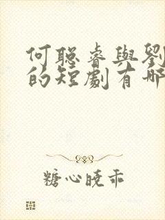 何聪睿与刘念演的短剧有哪些