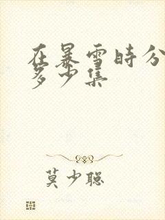 在暴雪时分一共多少集