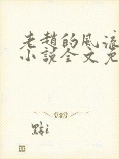 老赵的风流人生小说全文免费阅读