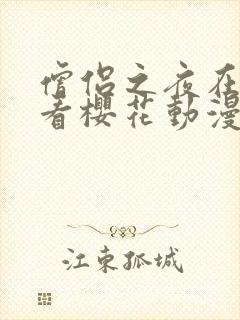 僧侣之夜在线观看樱花动漫封面