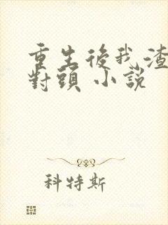 重生后我渣了死对头 小说