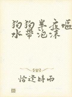 狗狗半夜呕吐黄水带泡沫封面