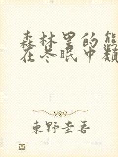 森林里的熊先生在冬眠中类似