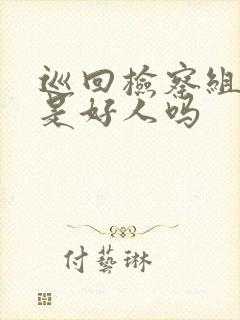 巡回检察组陈秘是好人吗封面