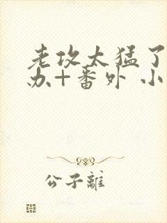 老攻太猛了怎么办+番外 小说