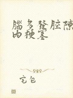 脑多发腔隙性脑内梗塞