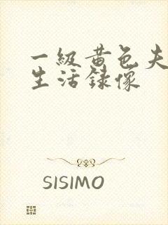 一级黄色夫妻性生活录像