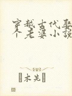 穿越古代娶了三个老婆小说