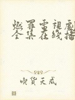 燃罪电视剧免费全集在线播放封面